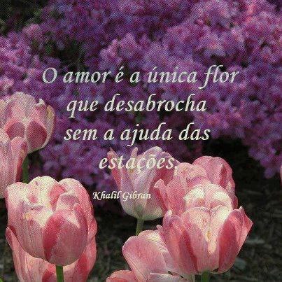 Amor flor que desabrocha sem a ajuda das estações. - iFunny Brazil